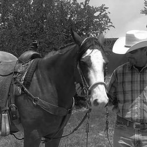 Meet your Posher, Donald